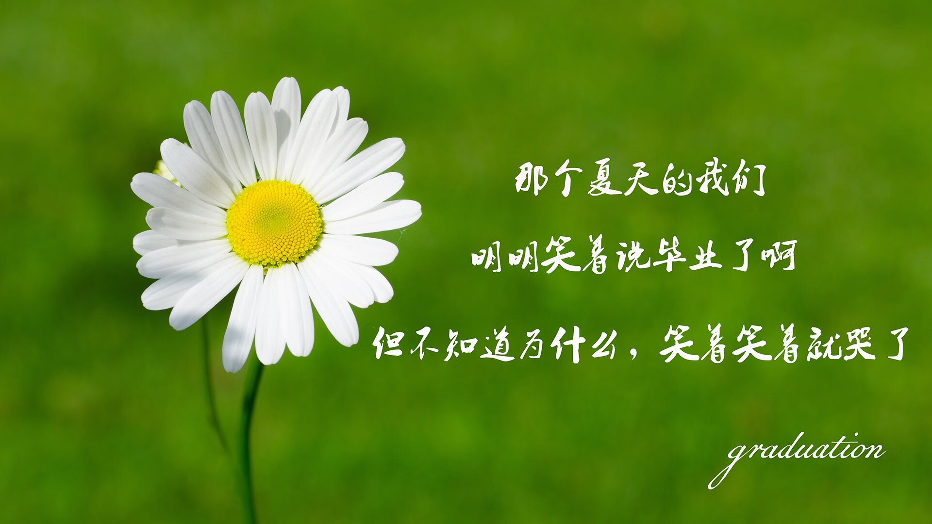 爱游戏娱乐-太阳外线三分命中率联盟第一，打破队史纪录，太阳三分球