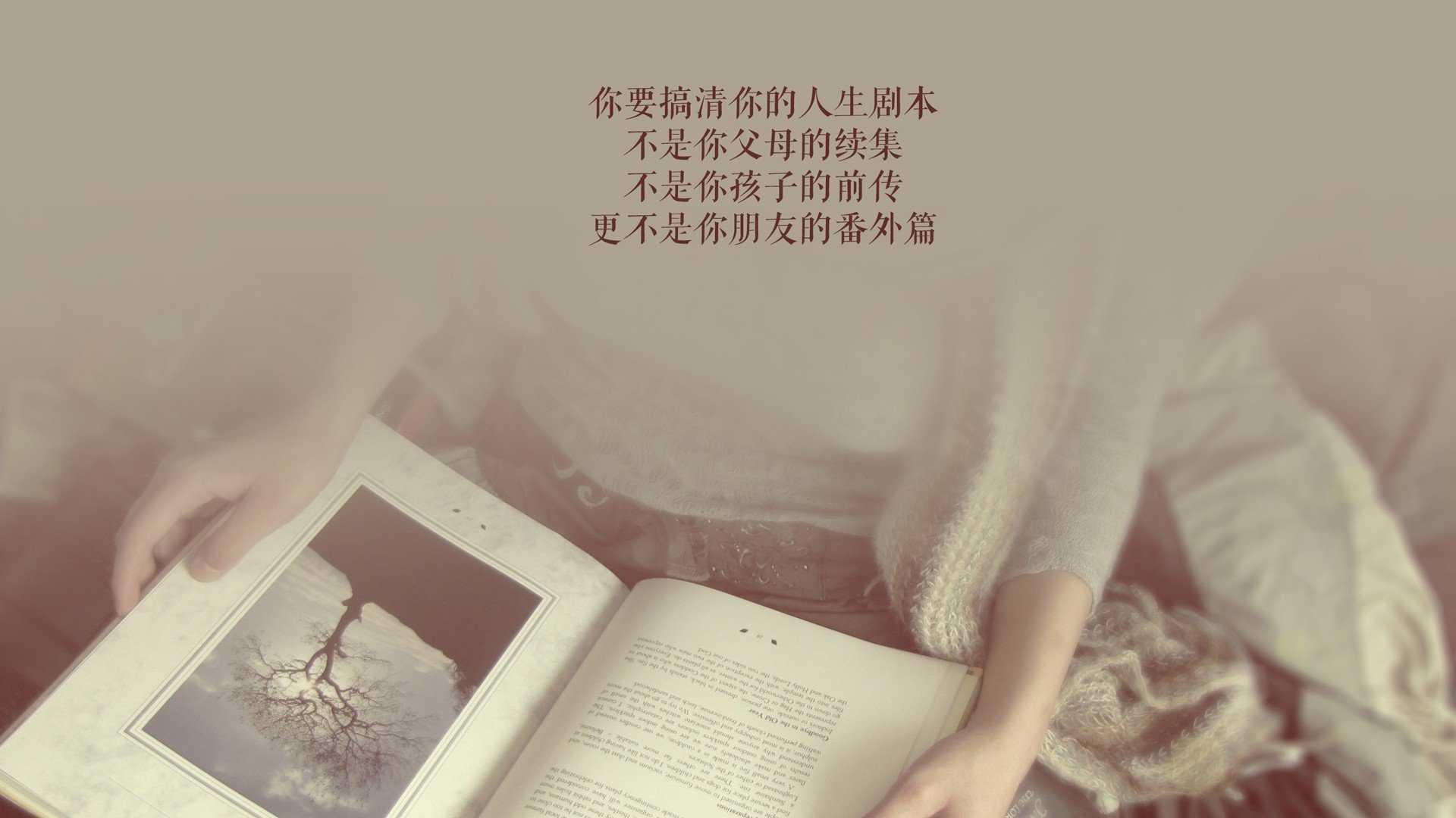 举重项目世界纪录再度刷新，举重世界纪录百度百科
