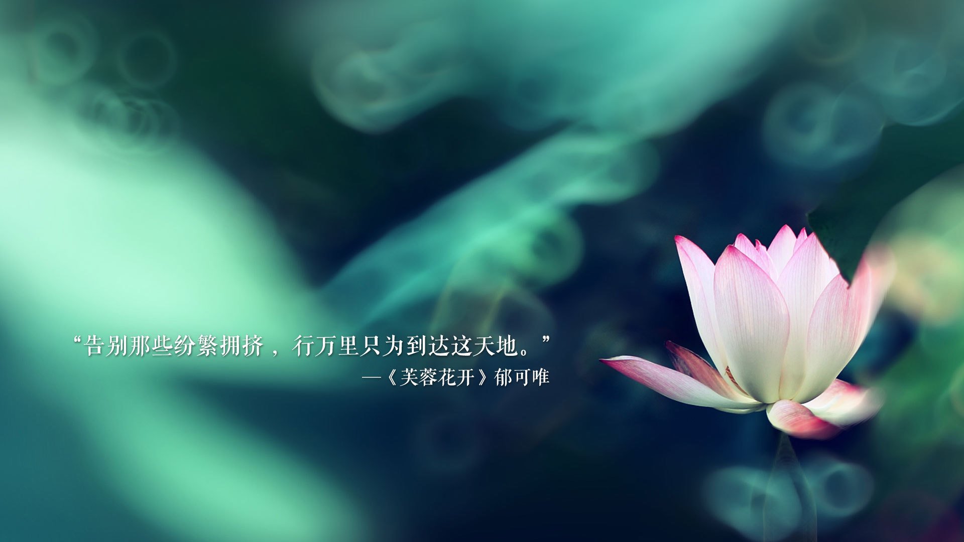 创纪录橄榄球传球次数刷新联盟数据，橄榄球传球教学视频