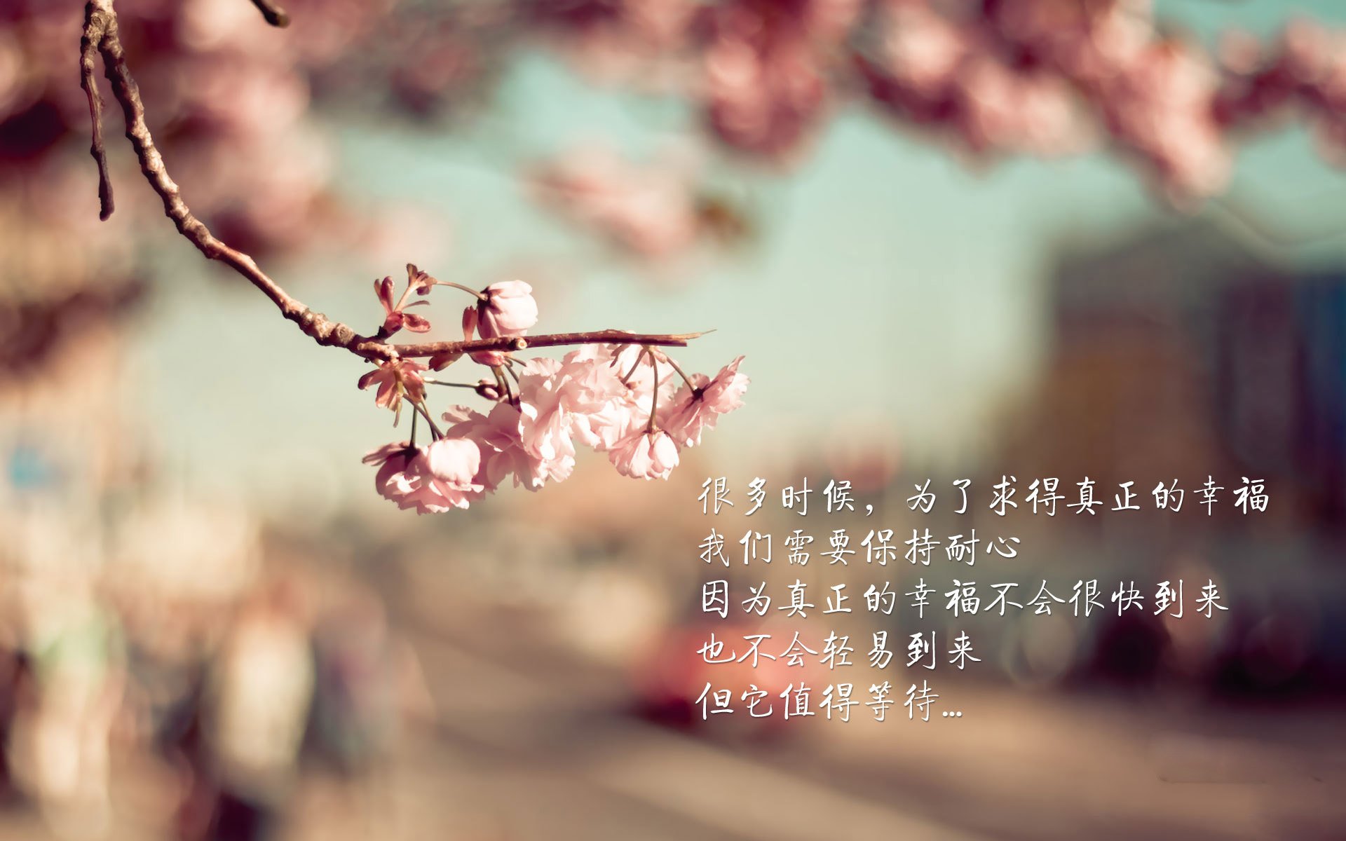 AYX SPORTS-拜仁连续胜利，法兰克福主场大战将带来怎样的惊喜？，法兰克福5_1拜仁