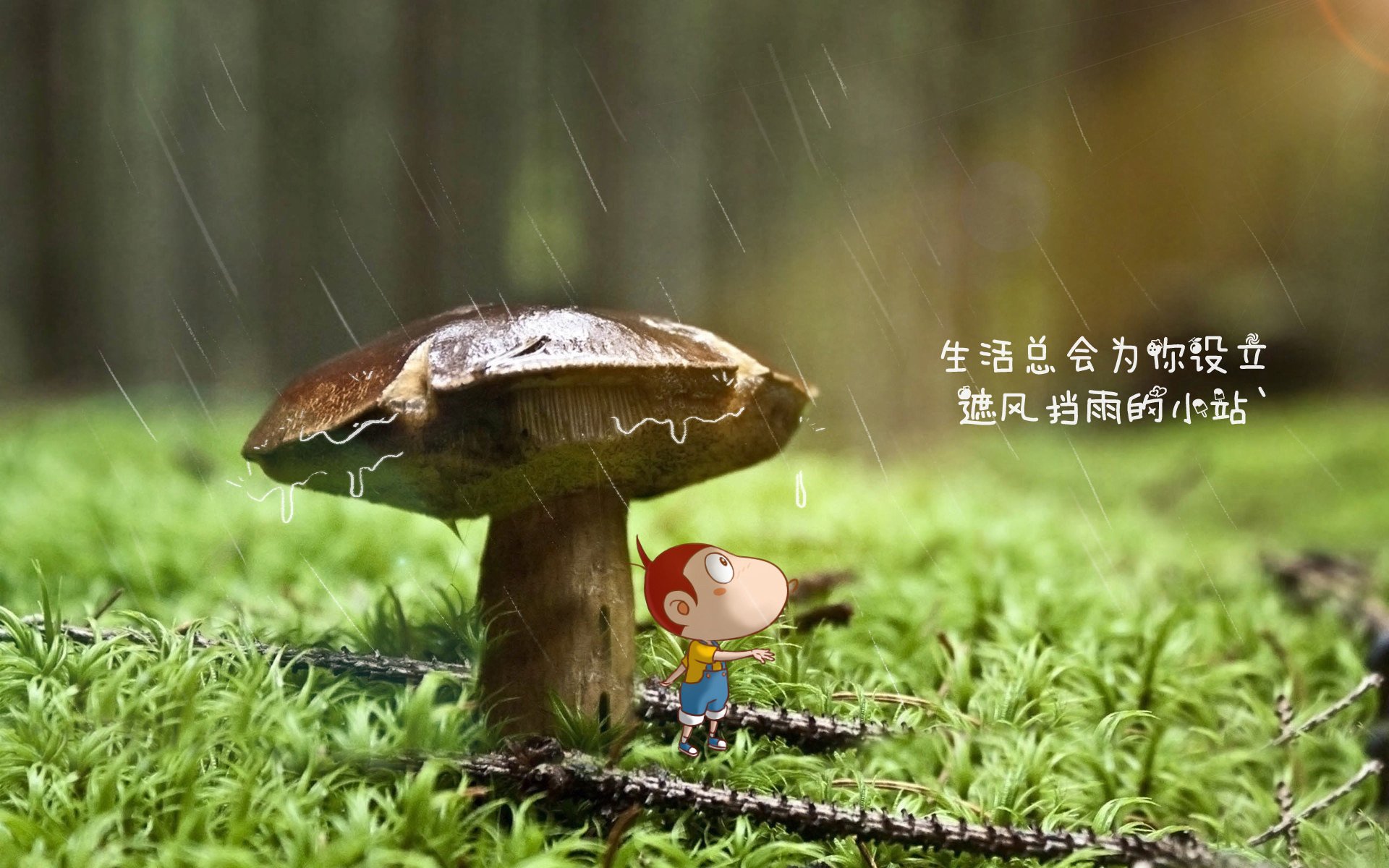 黄蜂球队比赛节奏更加流畅，黄蜂队主场叫什么