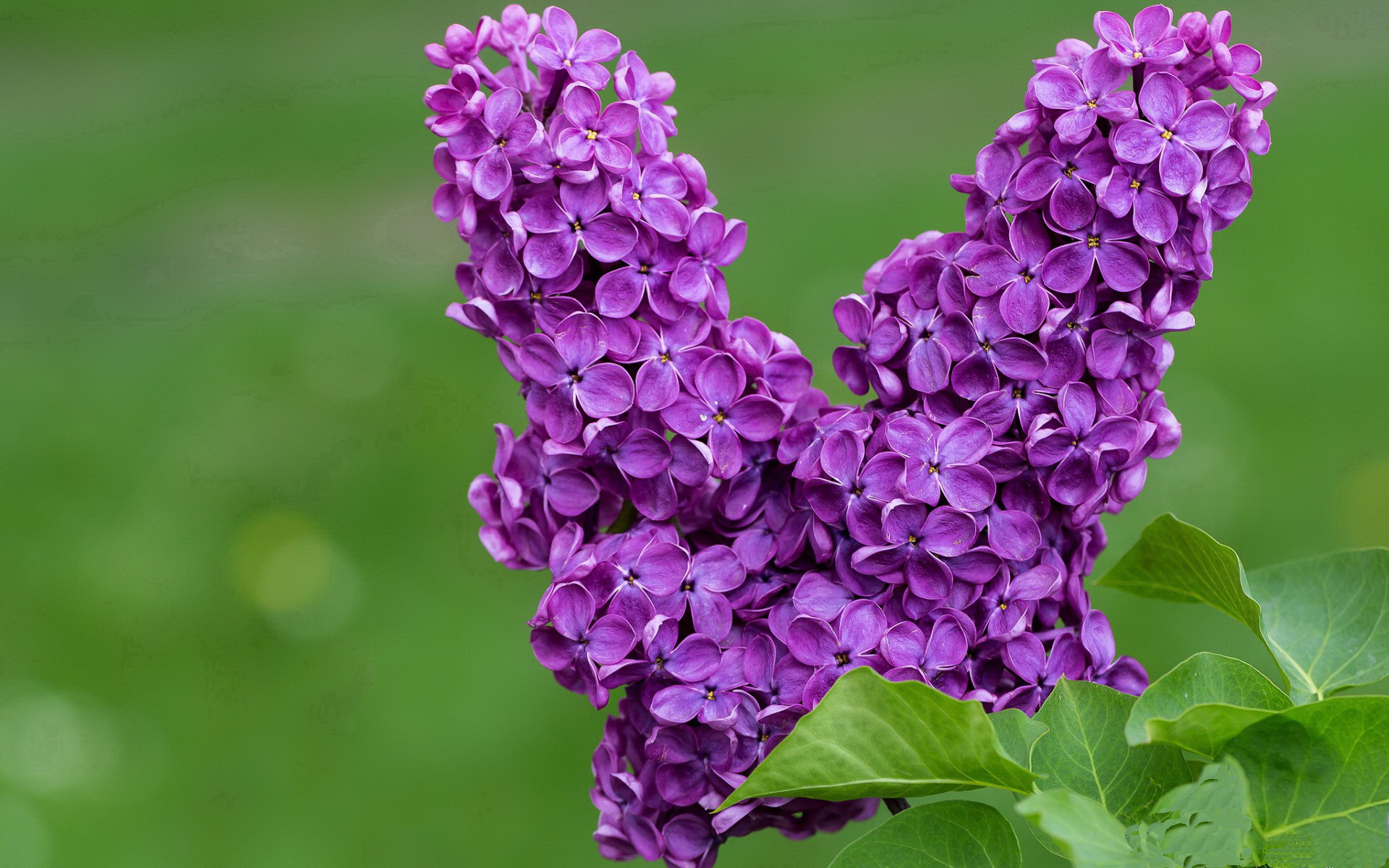 青少年体育赛事推广计划,青少年体育活动方案