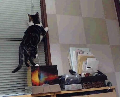 世界杯预选赛中国队晋级 球迷热情高涨，世界杯预选赛中国队晋级了吗