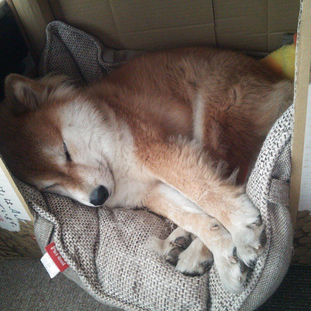 五大联赛球员出场时间与伤病风险浓度关系,五大联赛球员数据统计