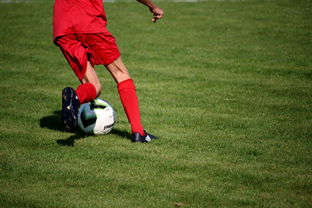 AYX体育-俱乐部青训体系与职业联赛脱节，俱乐部青训有工资吗