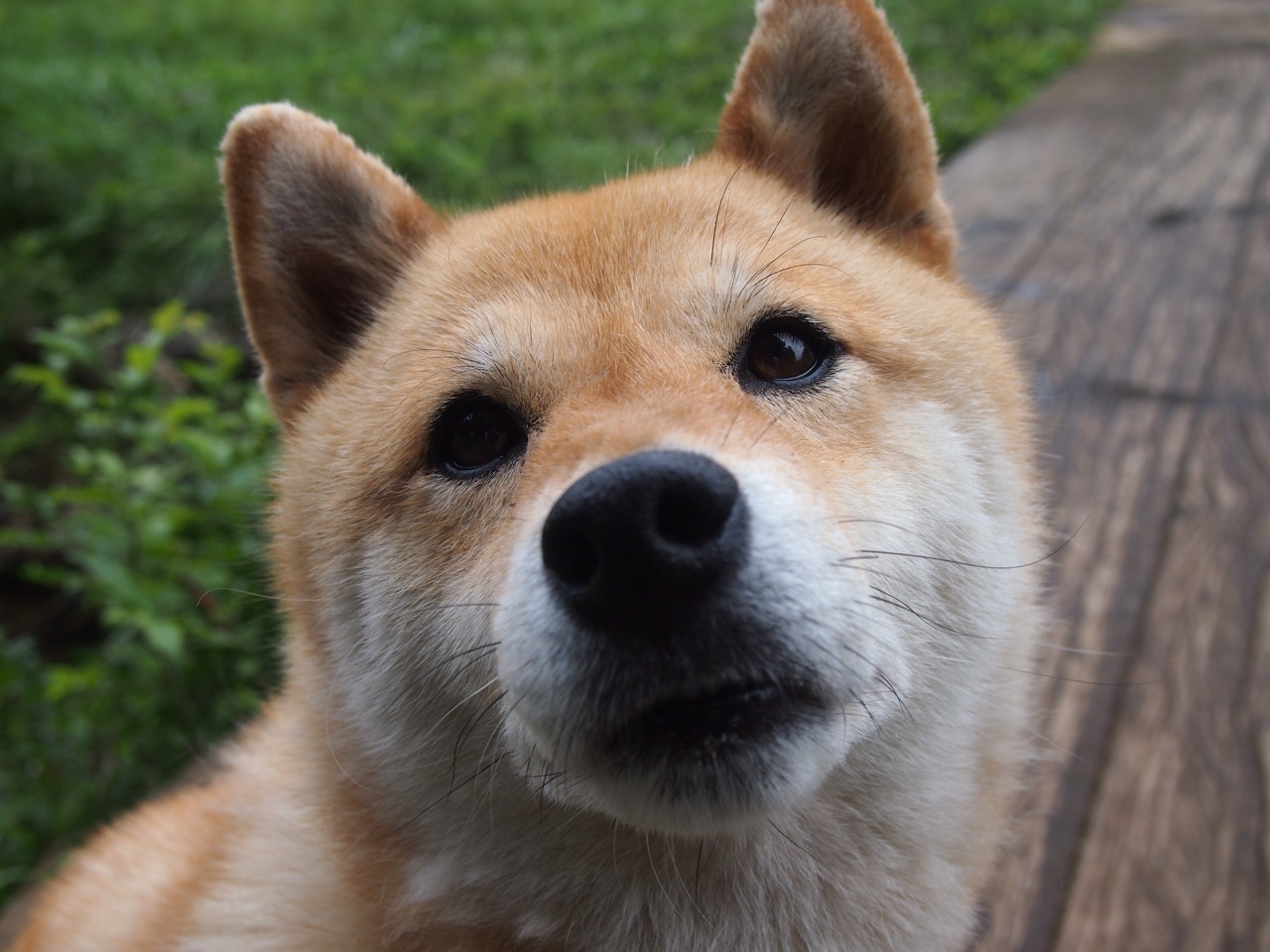 爱游戏娱乐-德国新星刷新全国纪录，德国新生代球星