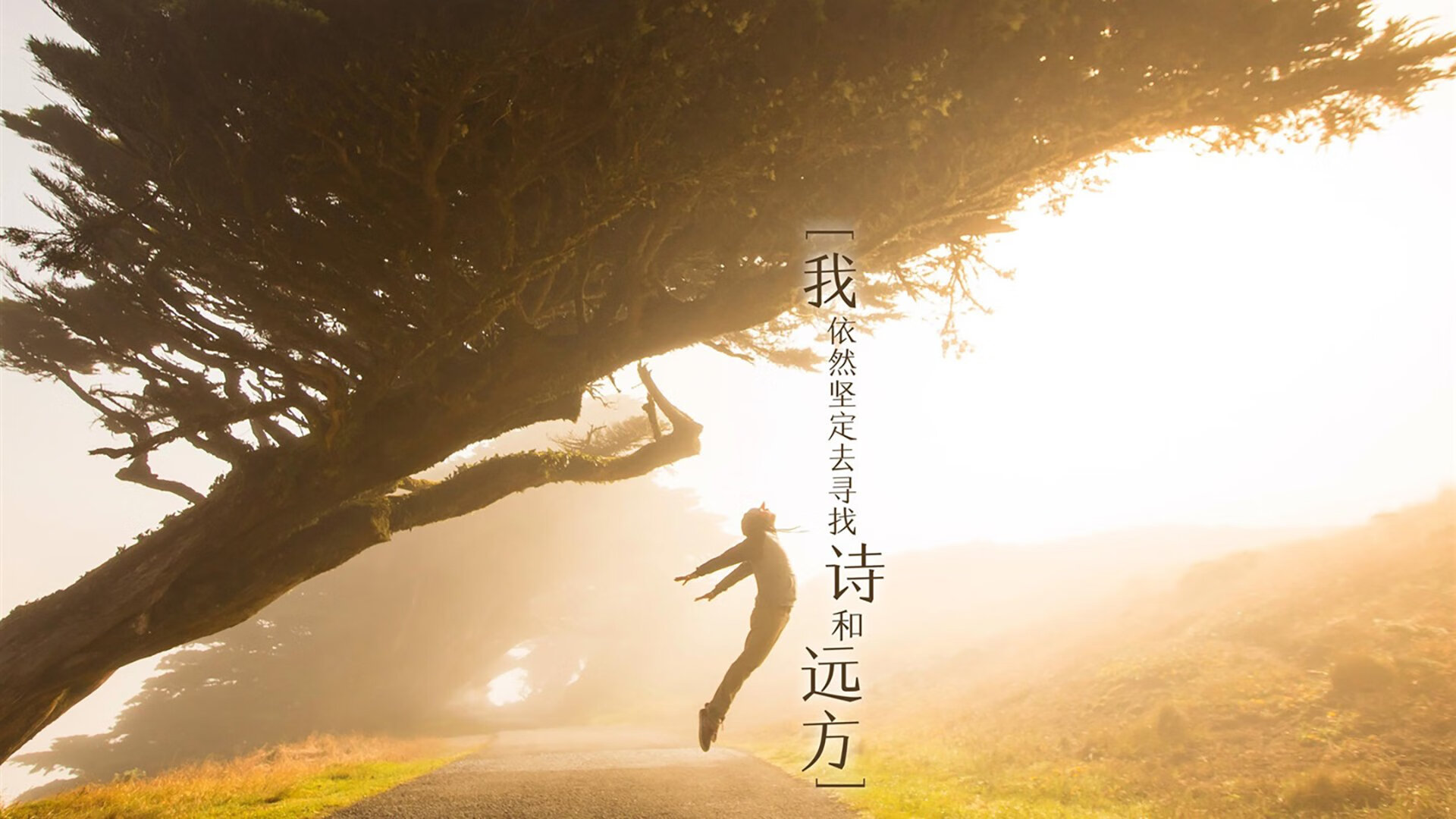 AYX SPORTS-新加坡队表现分析：如何在国际乒联混合团体世界杯中脱颖而出，新加坡国家队乒乓球