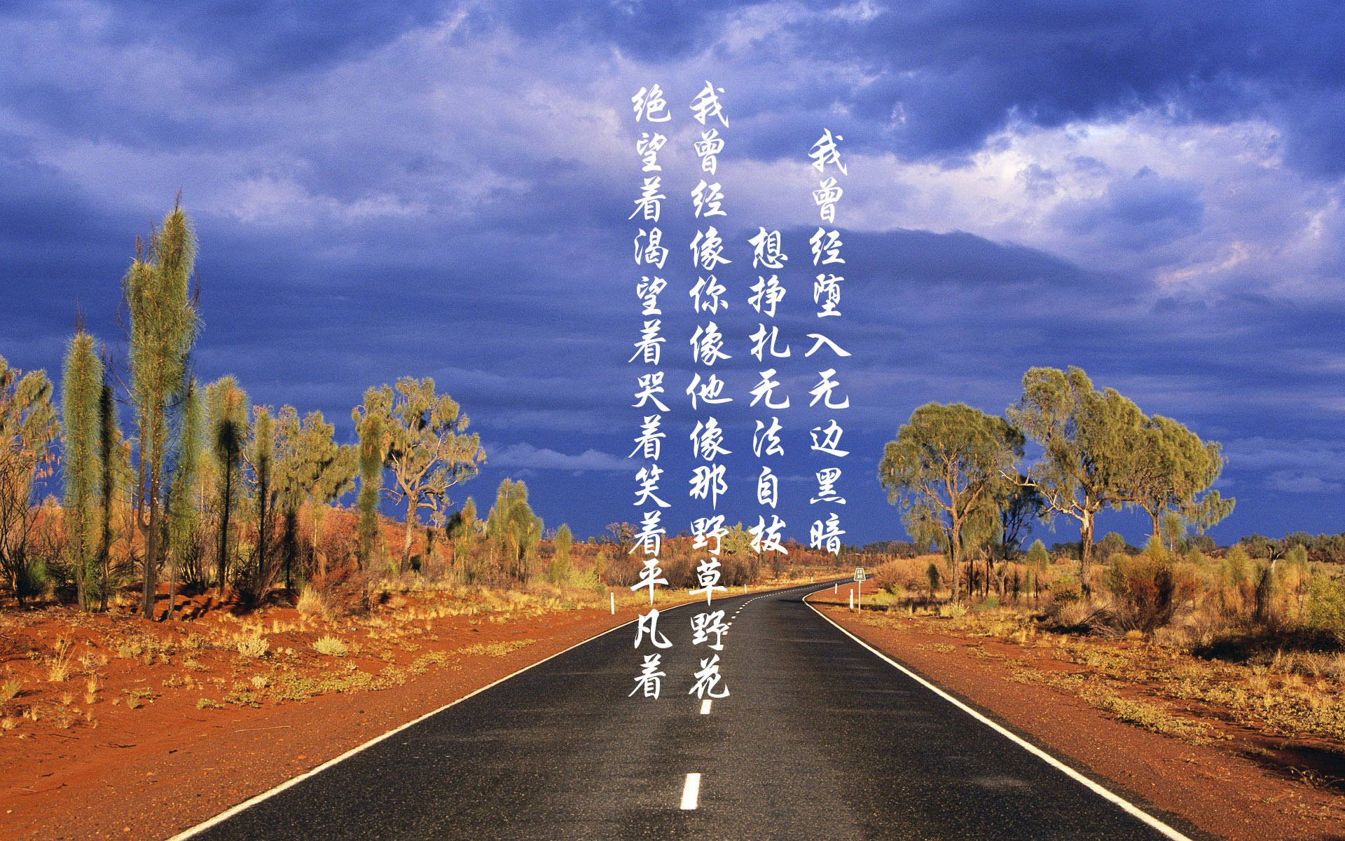 爱游戏官方网站-波兰队在国际乒联混合团体世界杯中的全员表现与综合优势，波兰乒乓球联赛