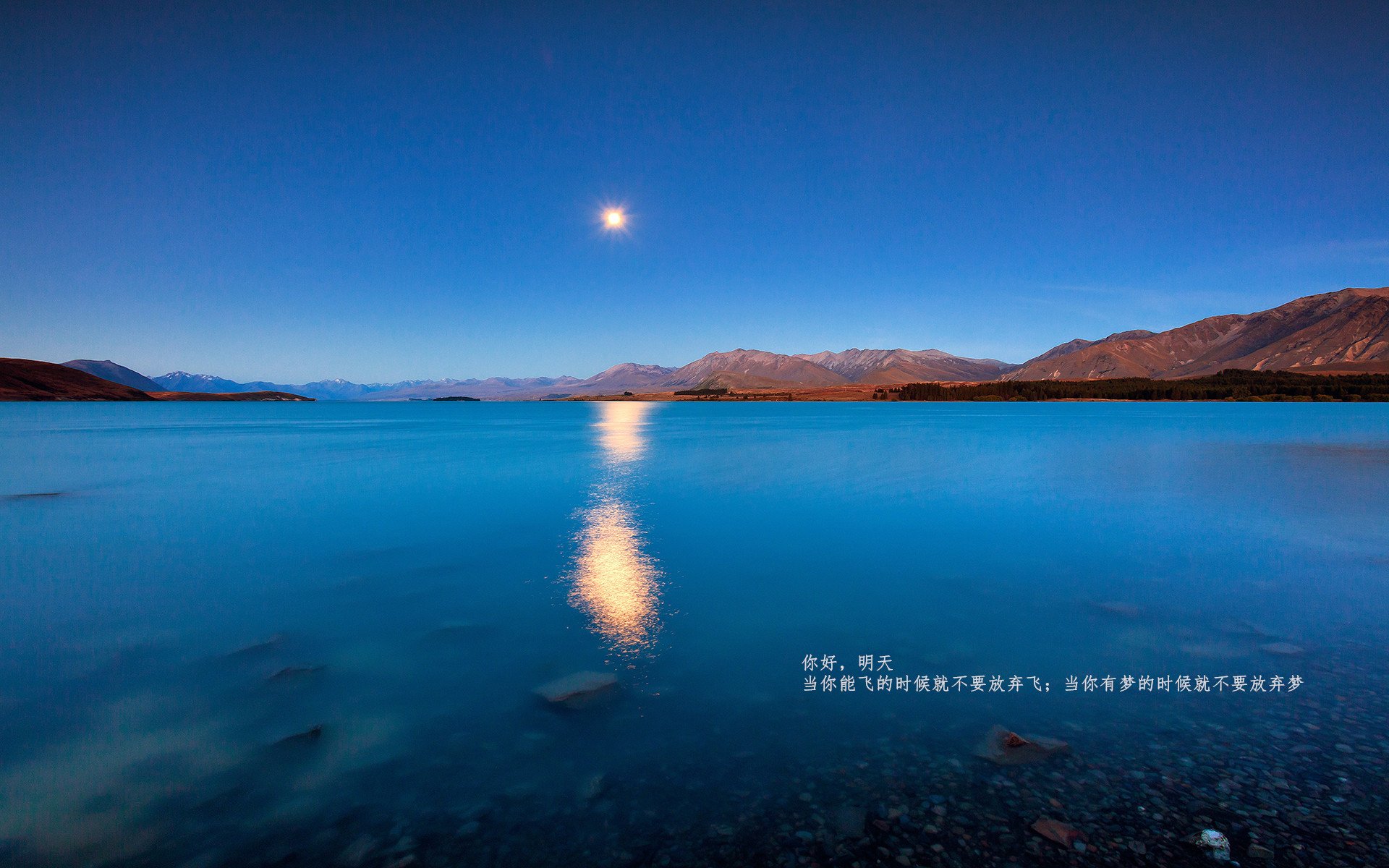 热那亚球员状态回暖抢分势头强劲,热那亚球员名单