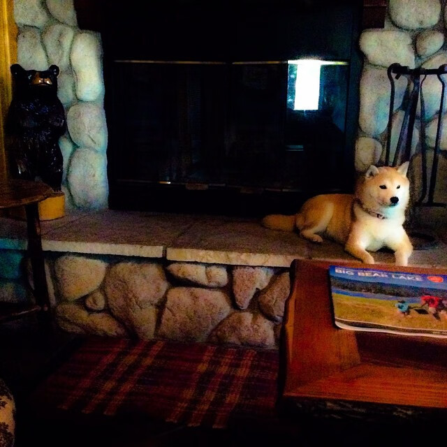 战术演练细节精密提升配合默契最大限度压缩对手空间，战术综合演练解说词