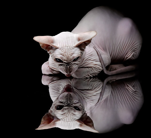 校园足球导入高频训练课程提升学生运动水平，足球如何走进学校课堂