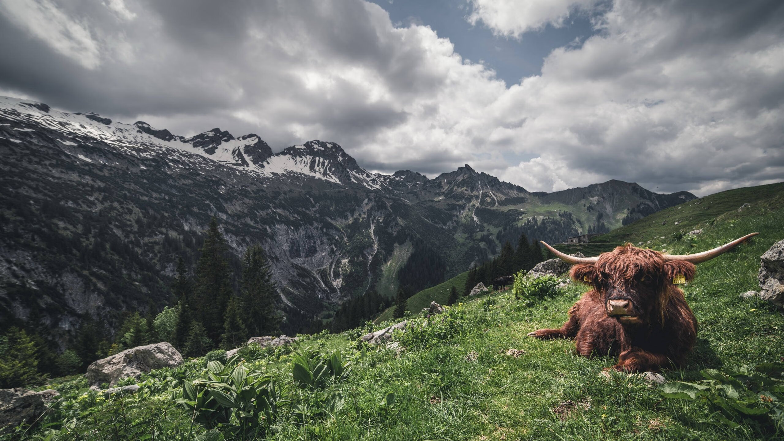 球员自主品牌服饰发布体现运动与时尚多维融合趋势，球员球衣销售排名
