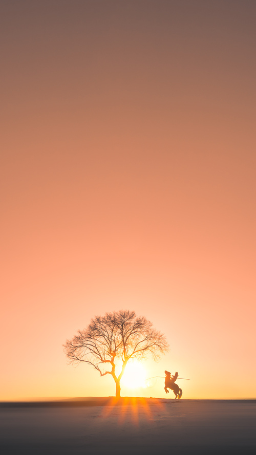 米切尔投篮姿势优化手感明显改善，米切尔投篮教学