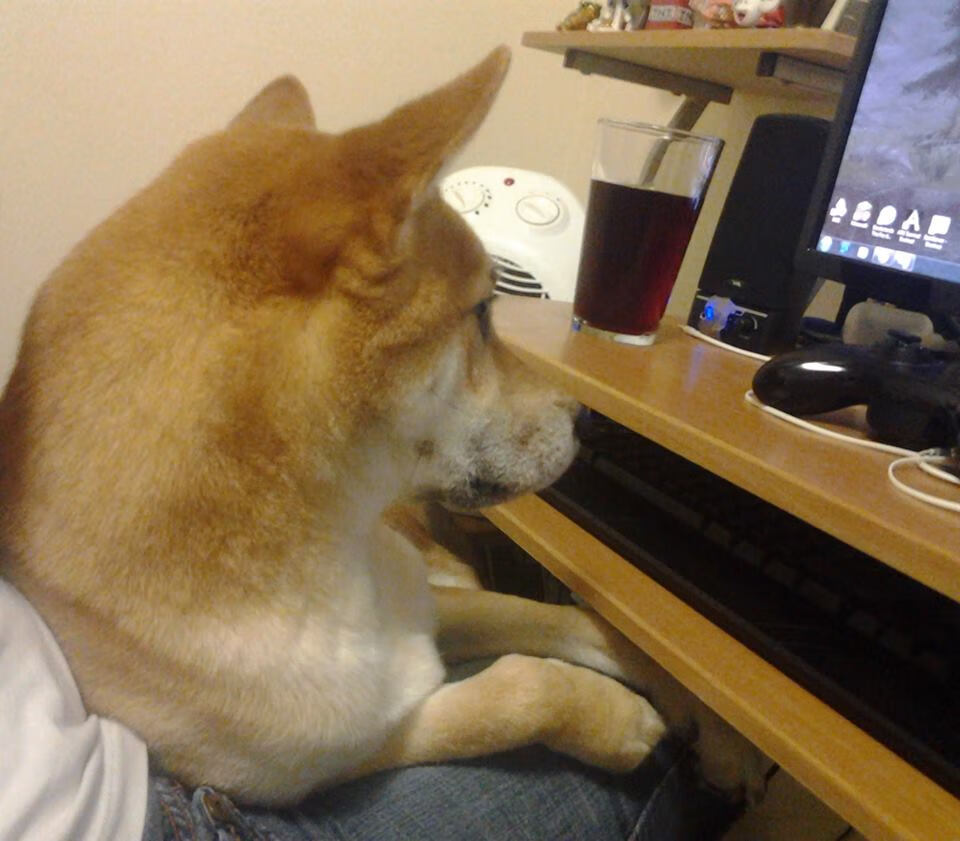 米切尔投篮姿势优化手感明显改善，米切尔投篮教学