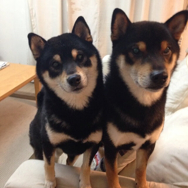 爱游戏在线登录入口-职业联赛开展球员心理健康讲座促进身心健康，足球心理训练对于青少年球员产生的影响