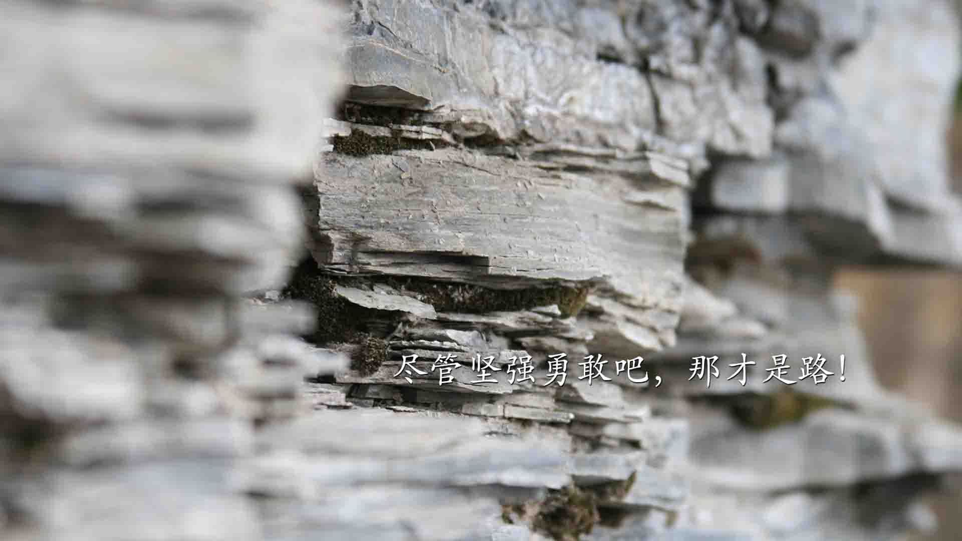 职业联赛开展球员心理健康讲座促进身心健康，足球心理训练对于青少年球员产生的影响